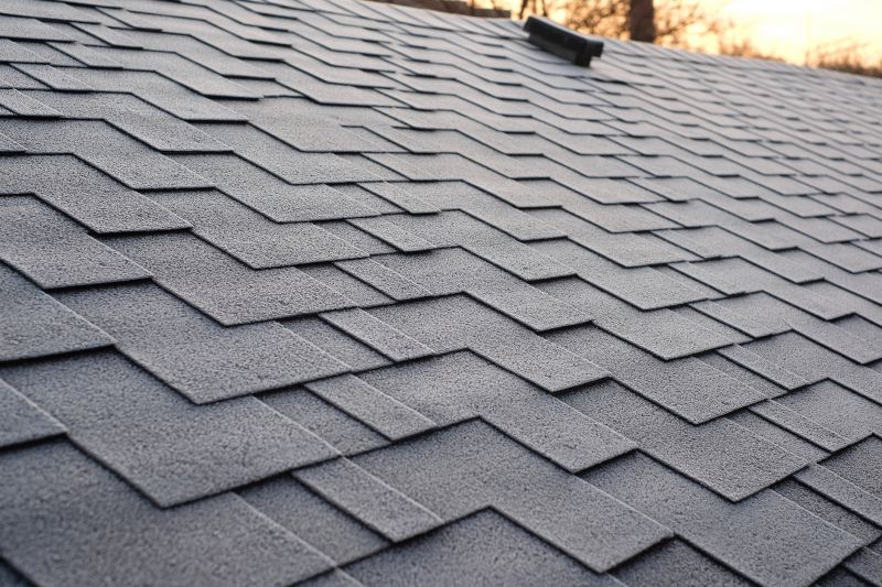 How Asphalt Shingle Roof Installation Improves Home Protection